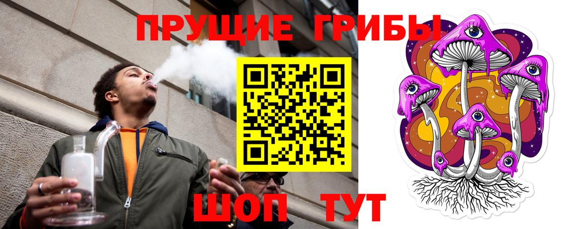 Хасавюрт  наркотики  Псилоцибиновые грибы ЛСД  Вход с VPN  Галлюциногенные грибы Psilocybine cubensis 